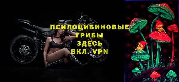 гашик Верхний Тагил