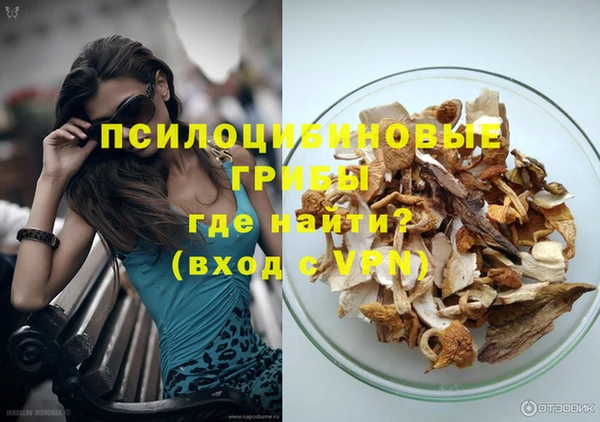 гашик Верхний Тагил