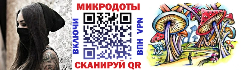 Псилоцибиновые грибы мухоморы Инсар